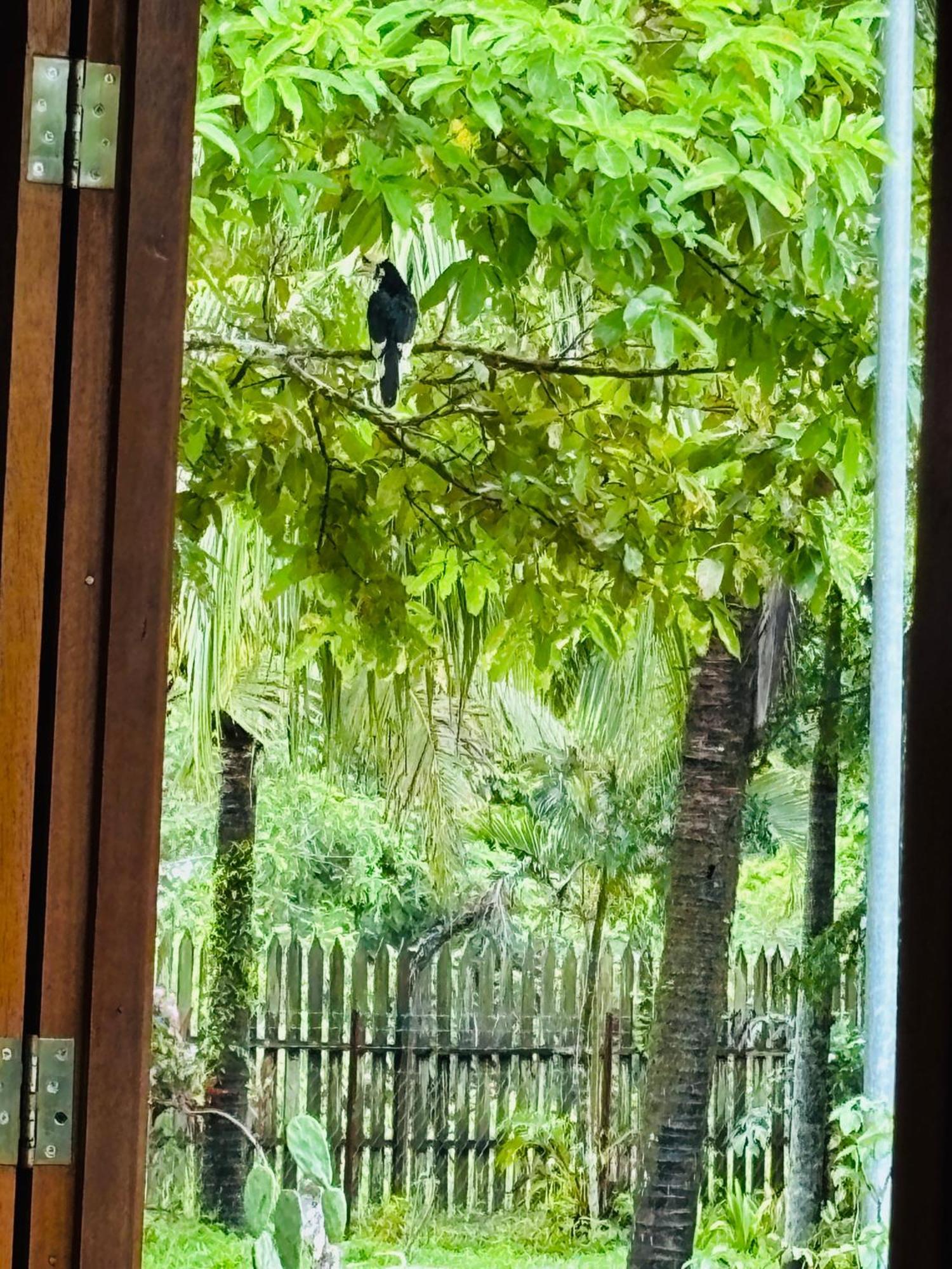 Padimas Villa @Datai Valley Bagian luar foto